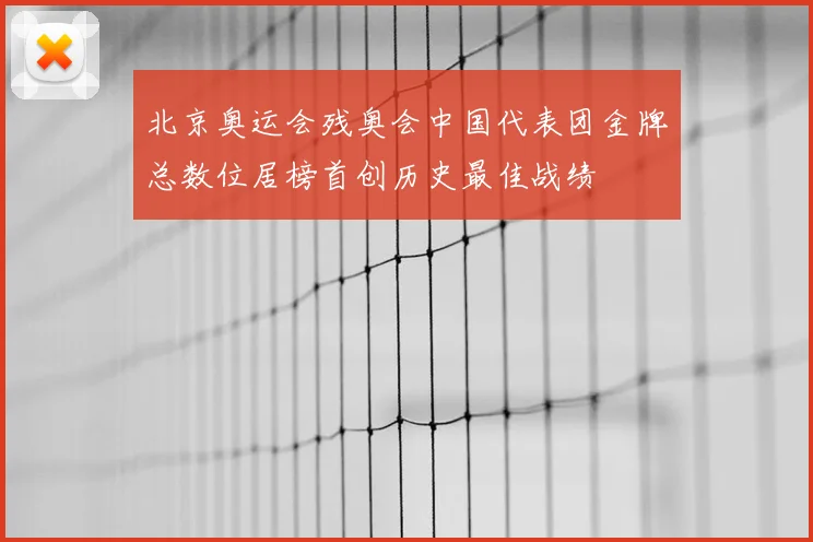 北京奥运会残奥会中国代表团金牌总数位居榜首创历史最佳战绩