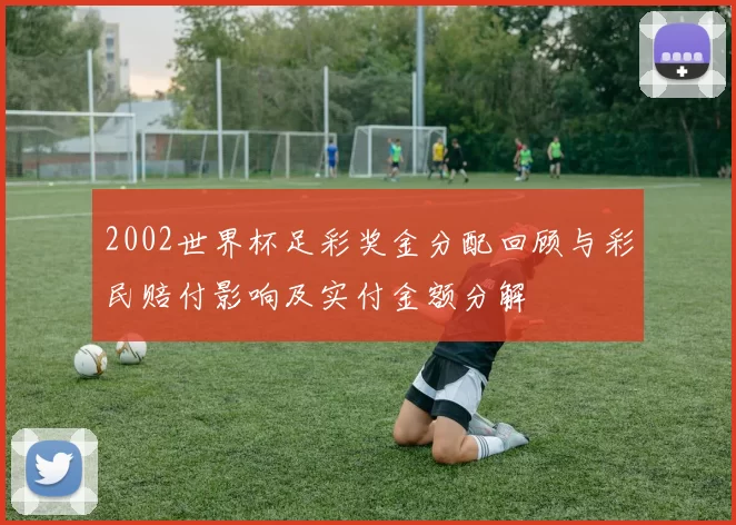 2002世界杯足彩奖金分配回顾与彩民赔付影响及实付金额分解